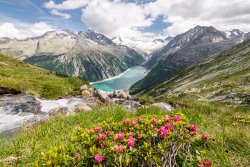 Zwischen Gipfeln und Almen, Faszination Zillertal 